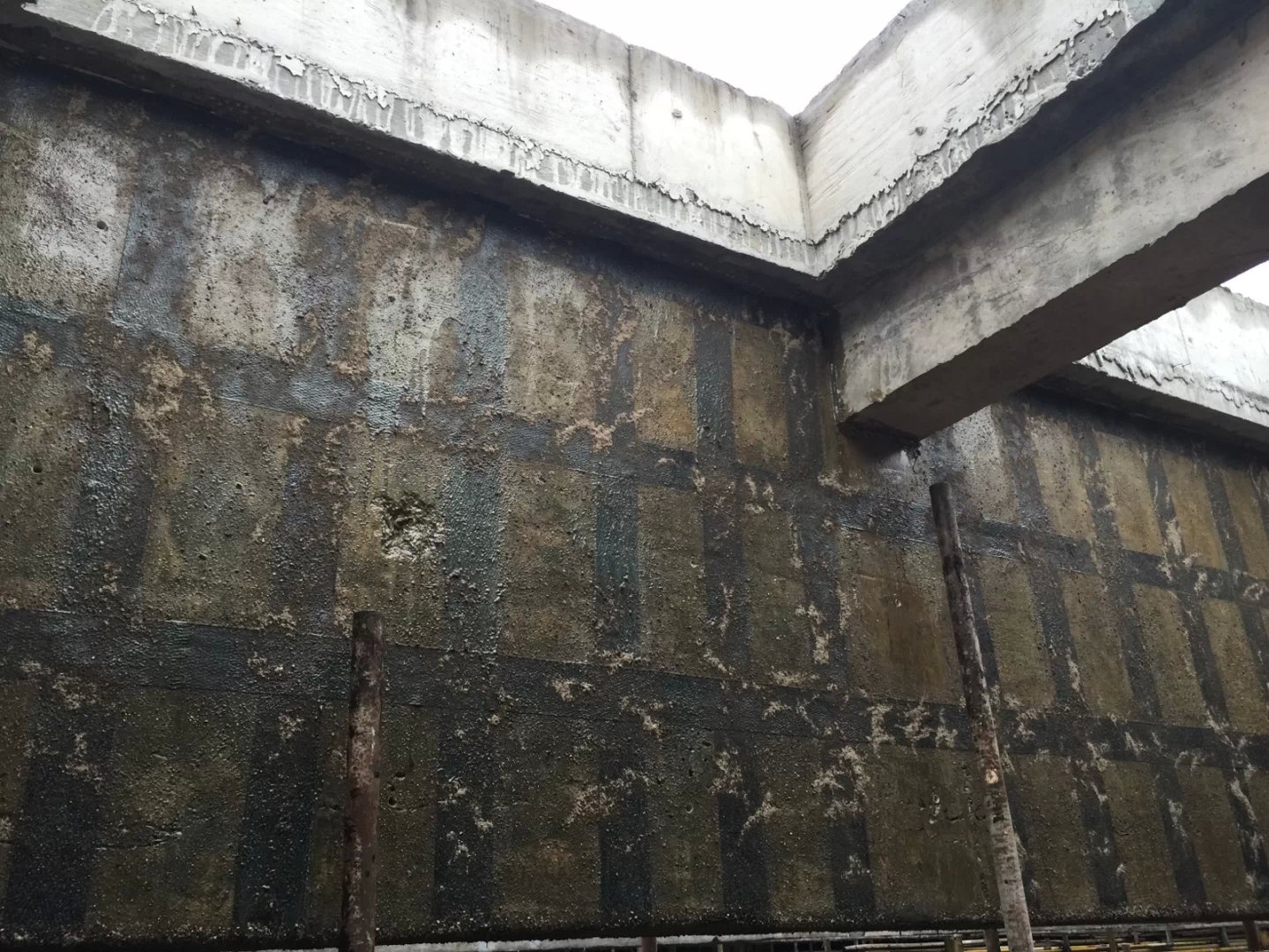 广西师范大学